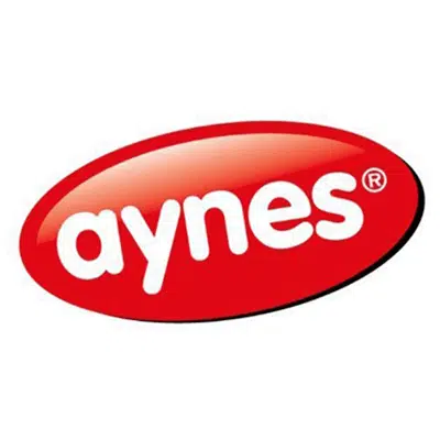 Aynes